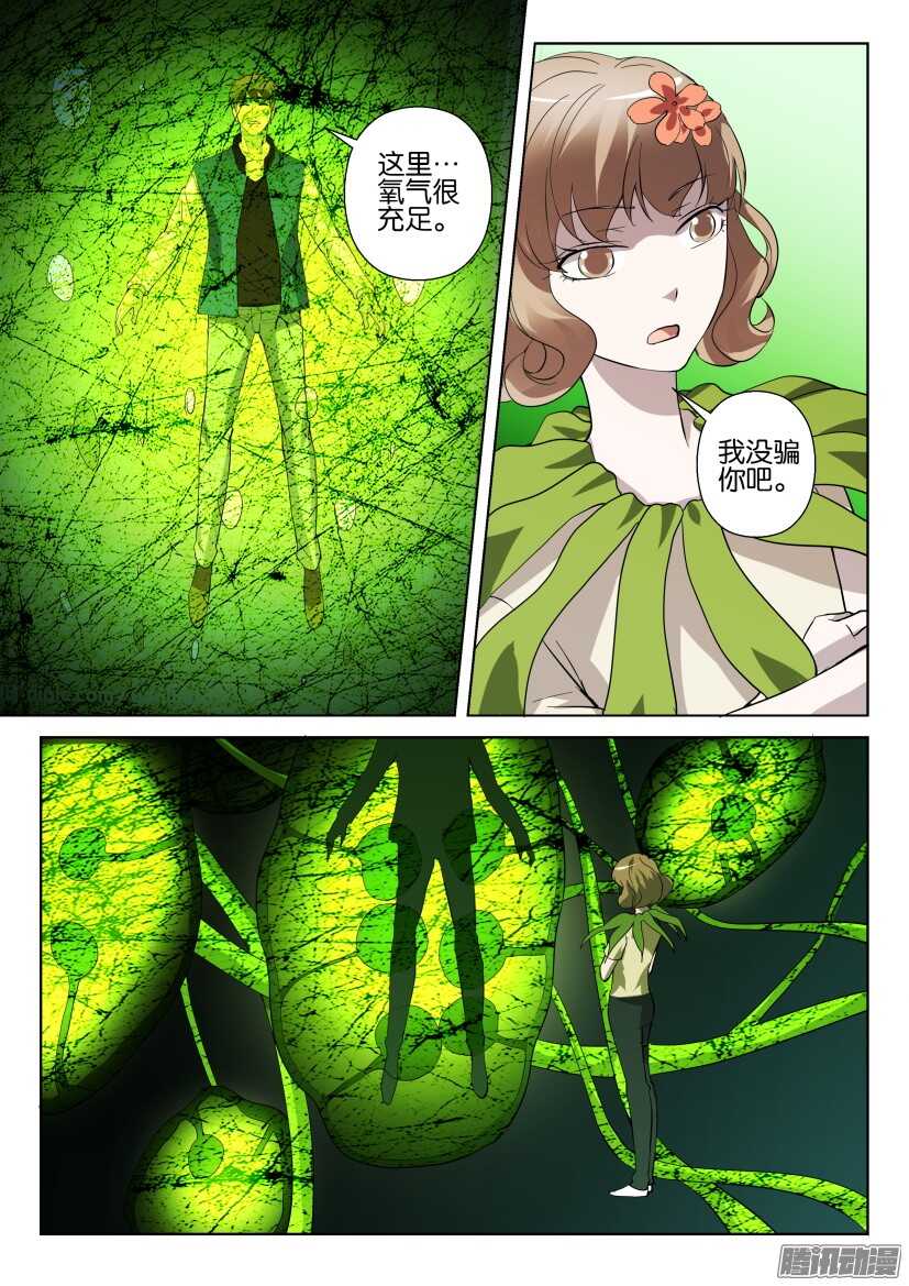 第277回 银扇草6
