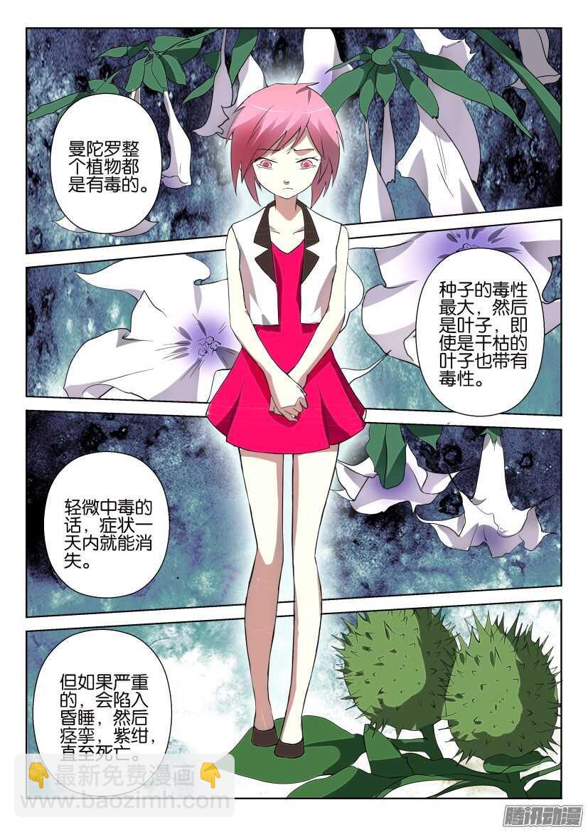 第284回 曼达·曼陀罗5