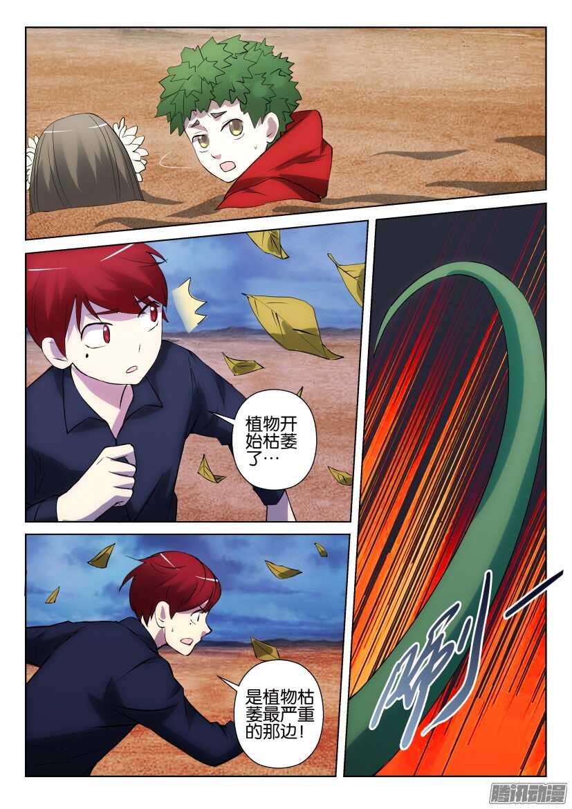 第315回 瞬间的盛放7