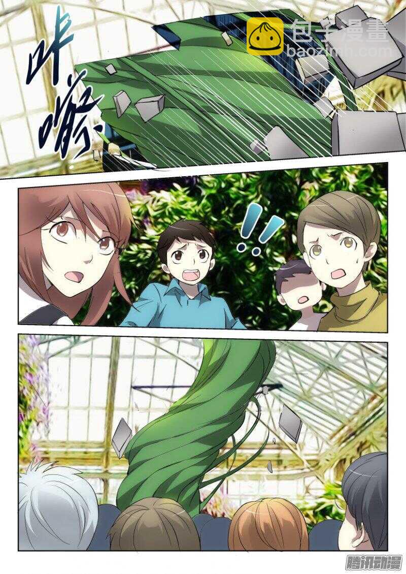 第373回 蒲公英开花啦1