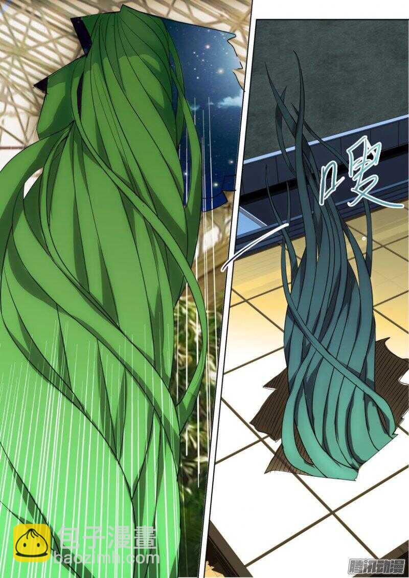 第373回 蒲公英开花啦2