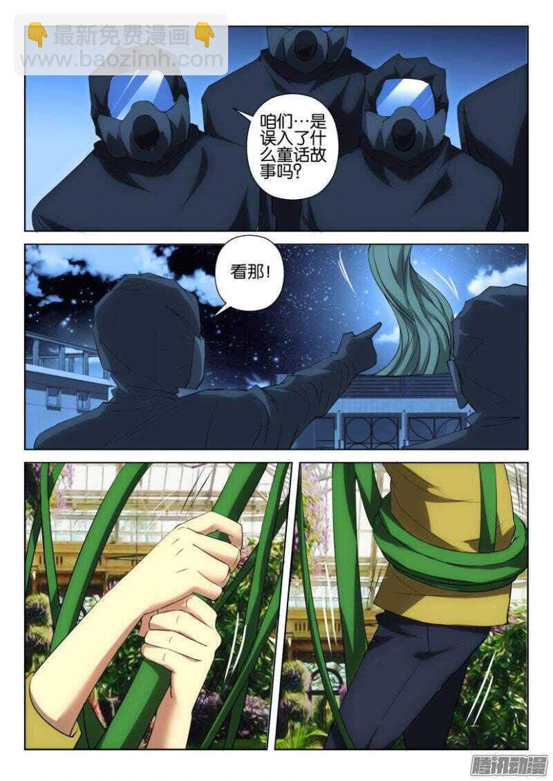 第373回 蒲公英开花啦3