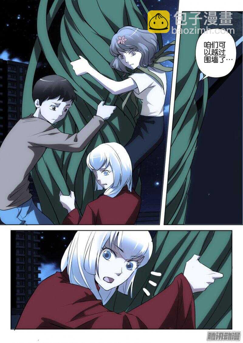 第373回 蒲公英开花啦5
