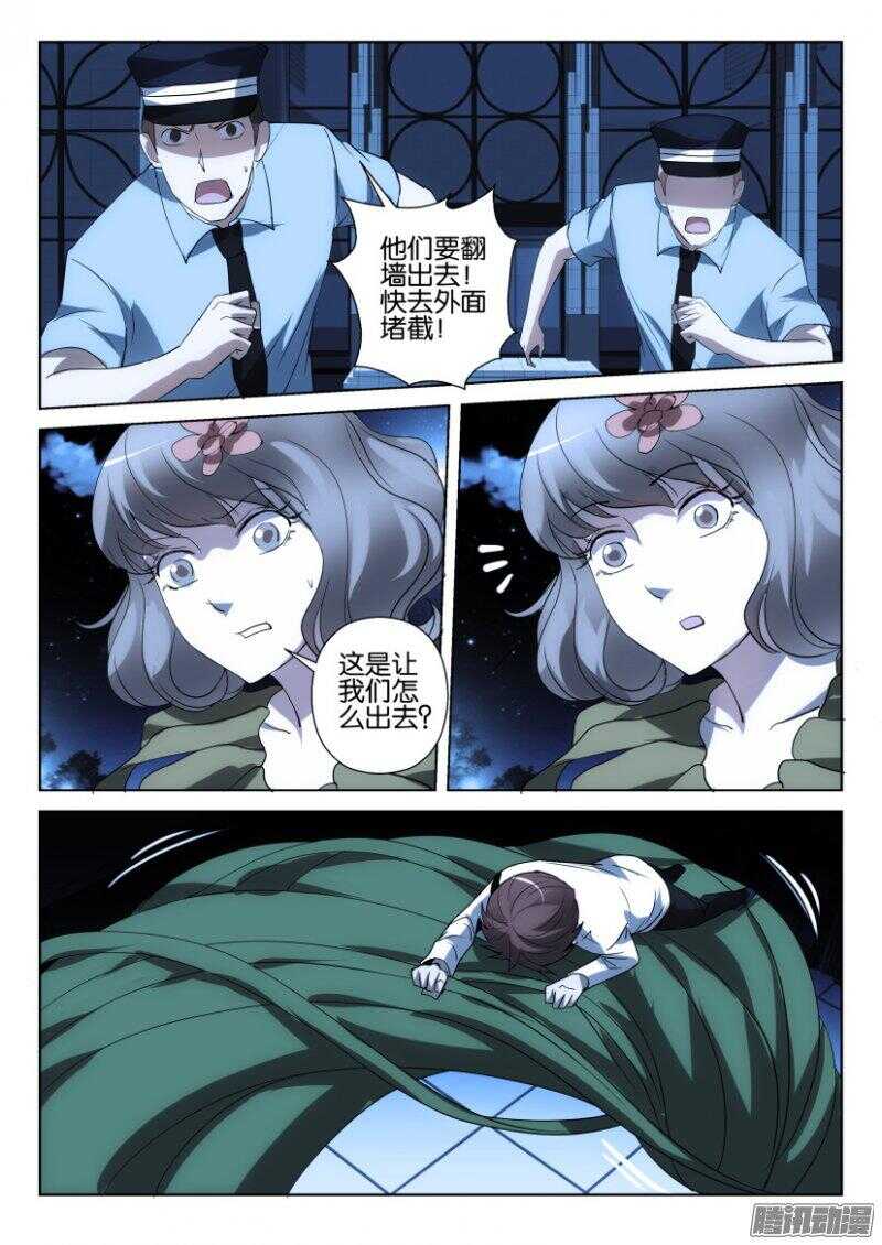 第373回 蒲公英开花啦6