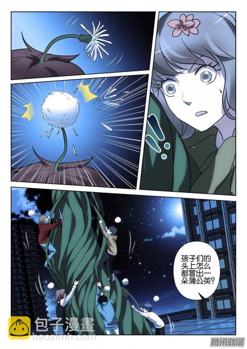 第373回 蒲公英开花啦8