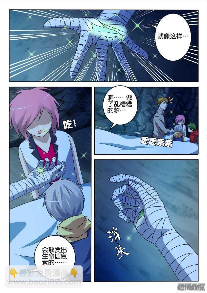 第407回 寻找一棵树3