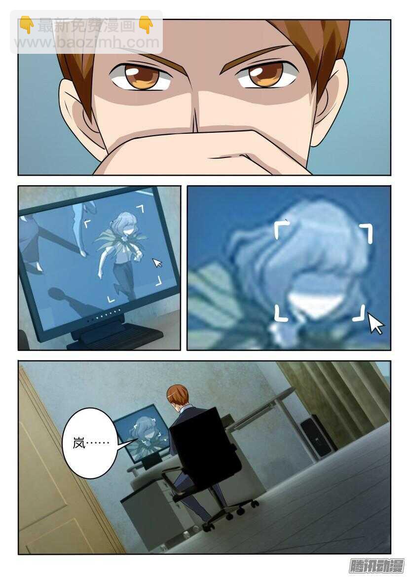第407回 寻找一棵树7