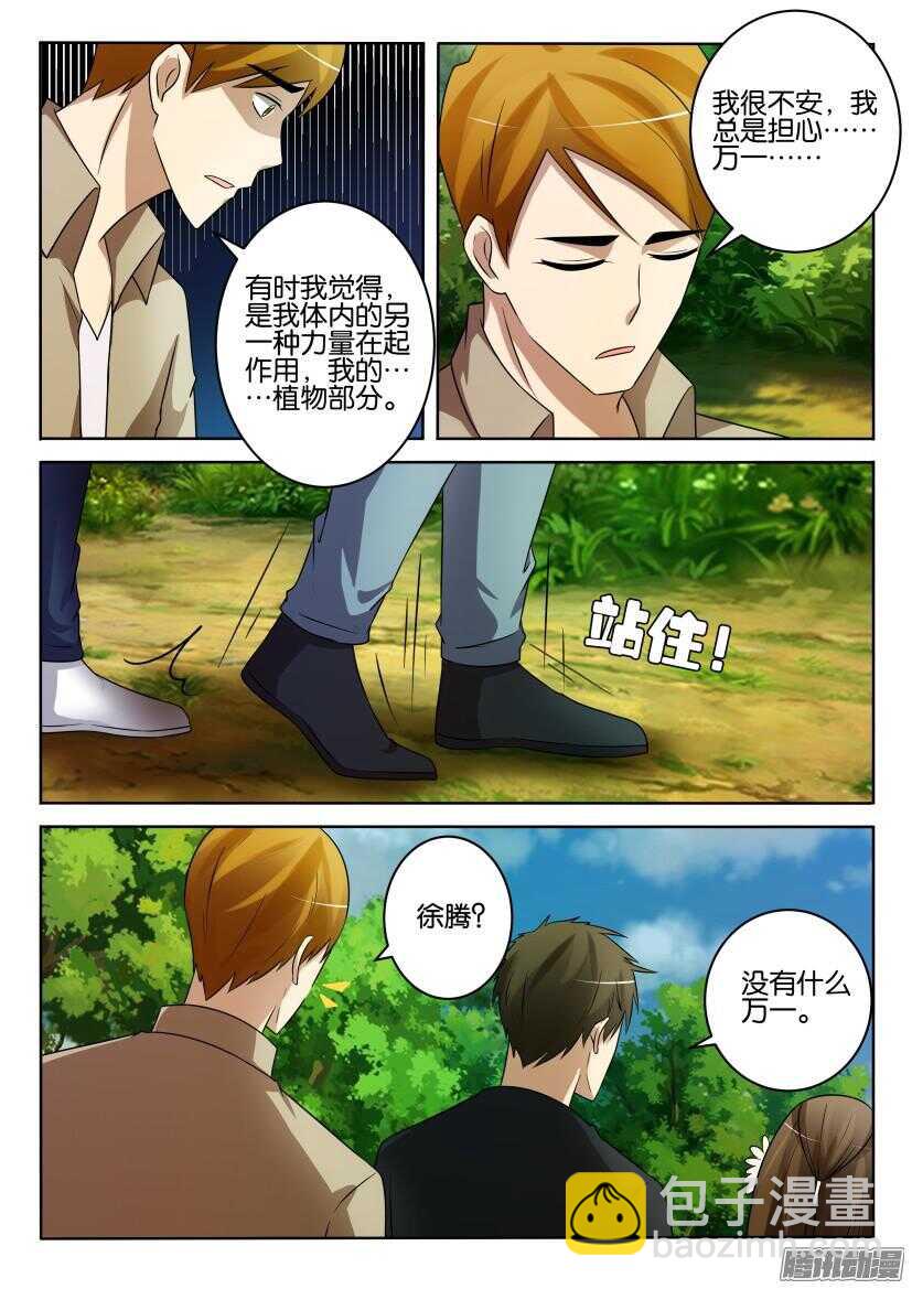第423回 关于那棵树3