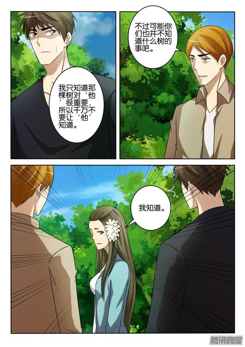 第423回 关于那棵树8