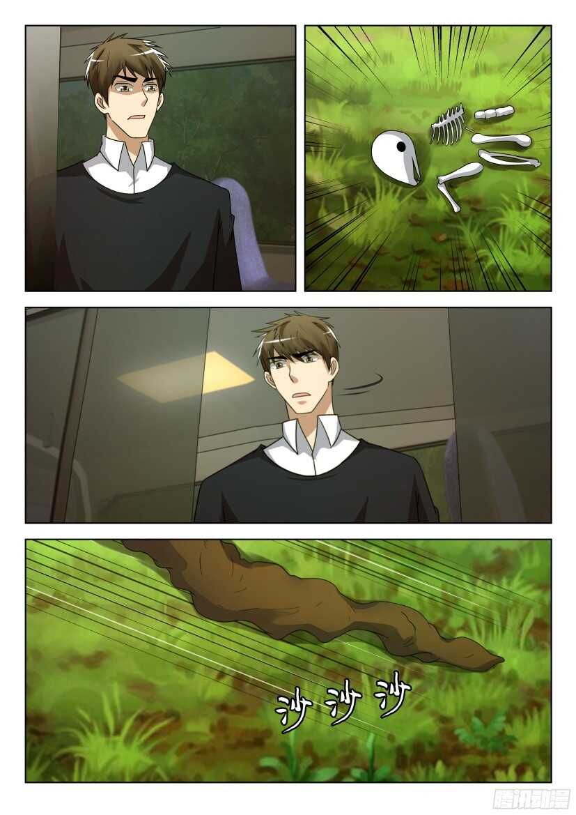 第504回 盛放1