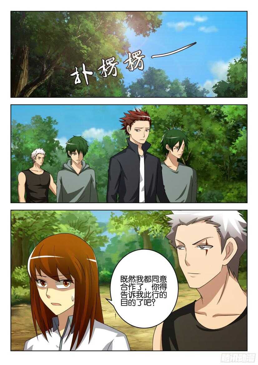 第513回 罂粟花山谷1
