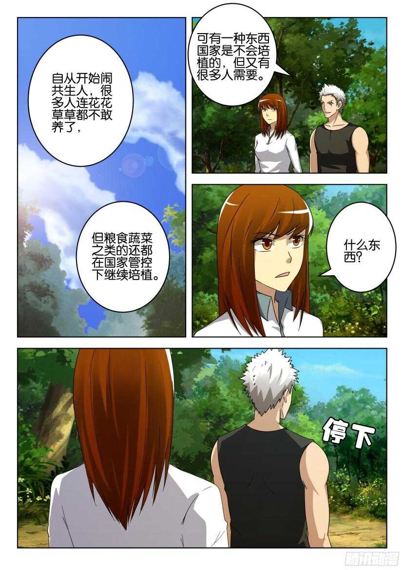 第513回 罂粟花山谷3