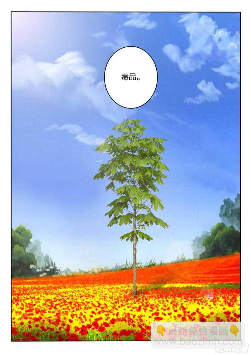 第513回 罂粟花山谷5