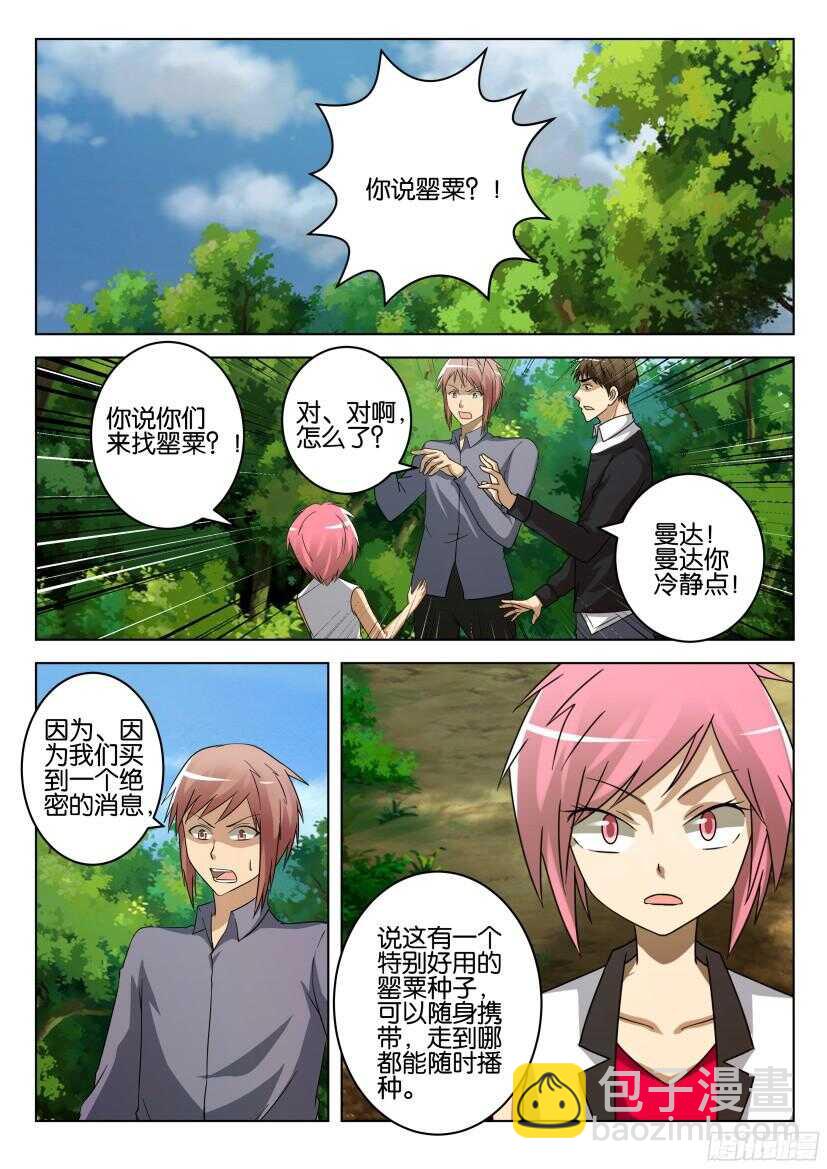 第513回 罂粟花山谷6