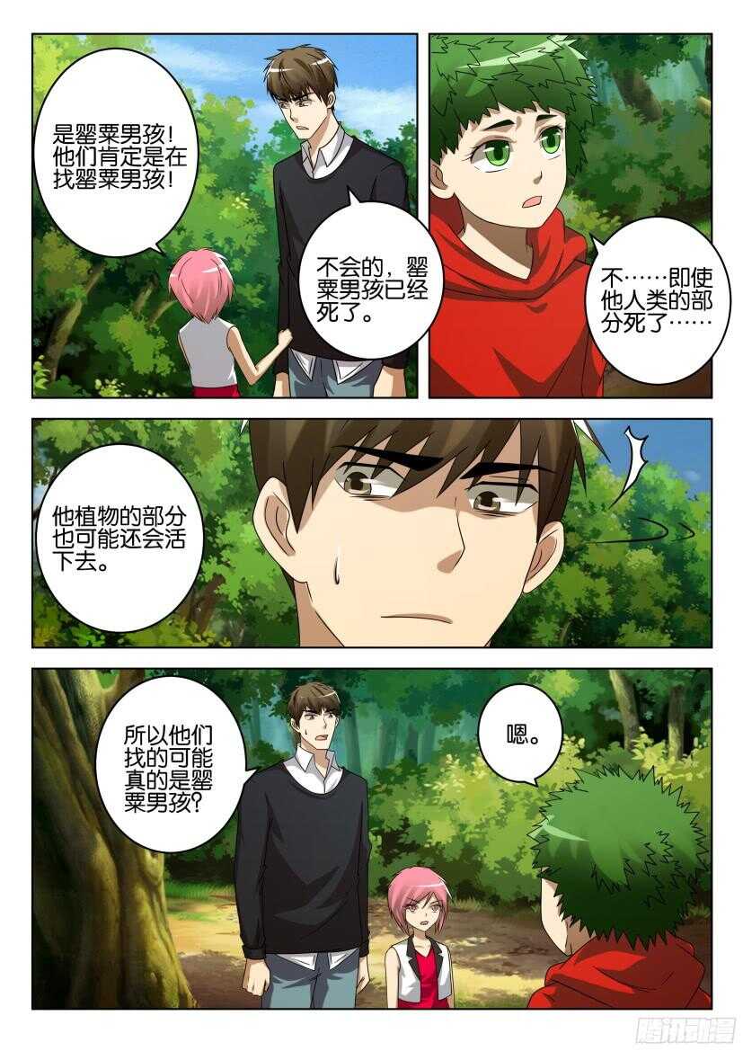 第513回 罂粟花山谷7