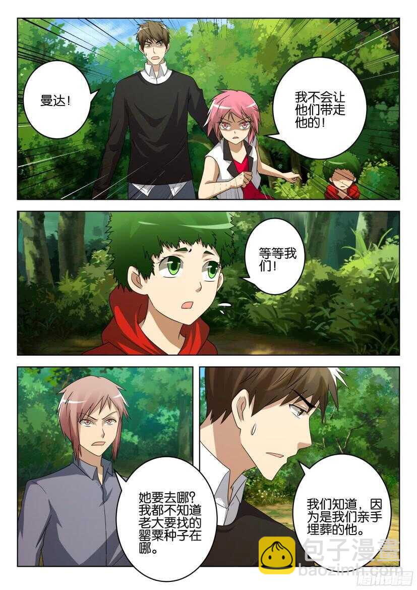 第513回 罂粟花山谷8