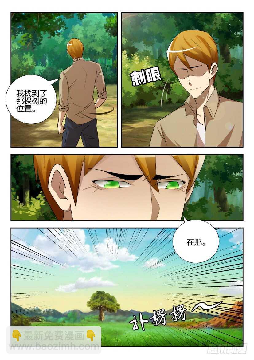 第529回 花开尽头2
