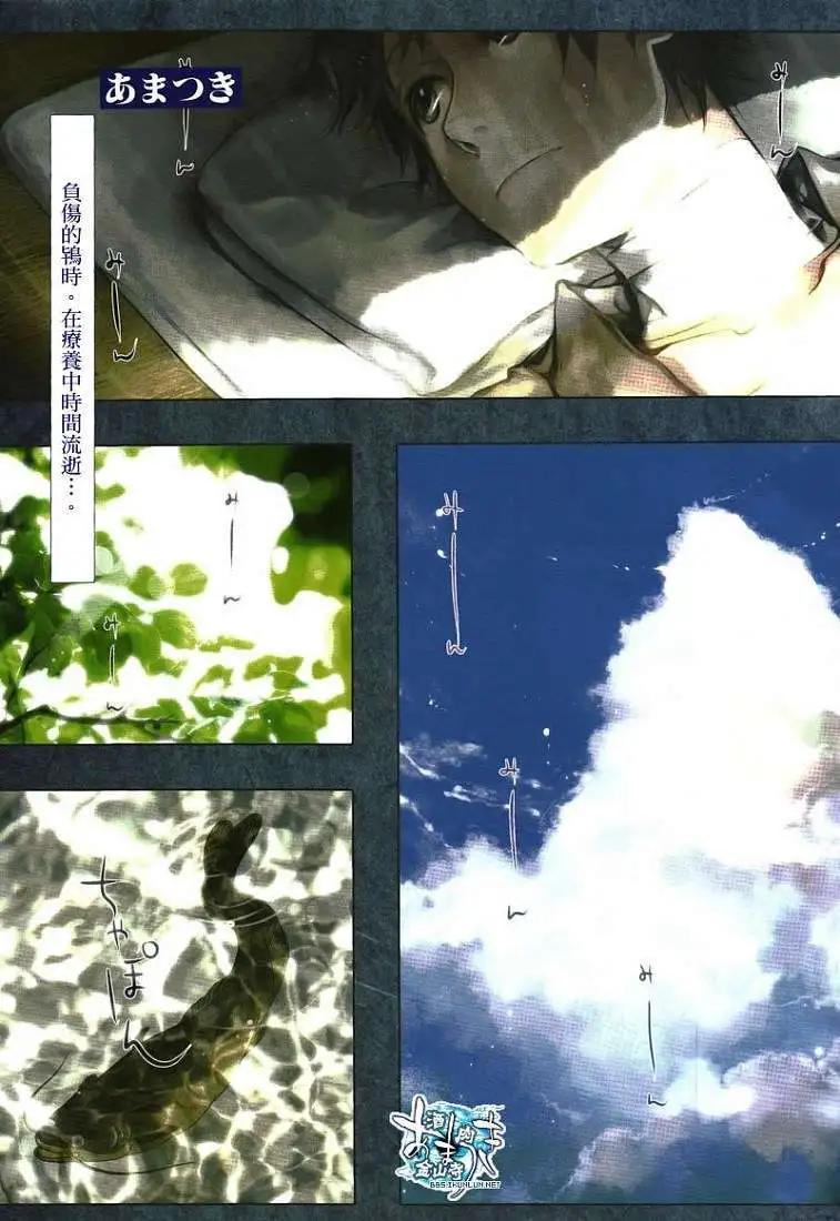 第066回结叶阳伞0