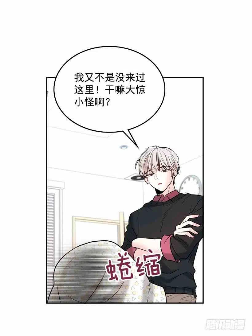 7.网络小说开始44