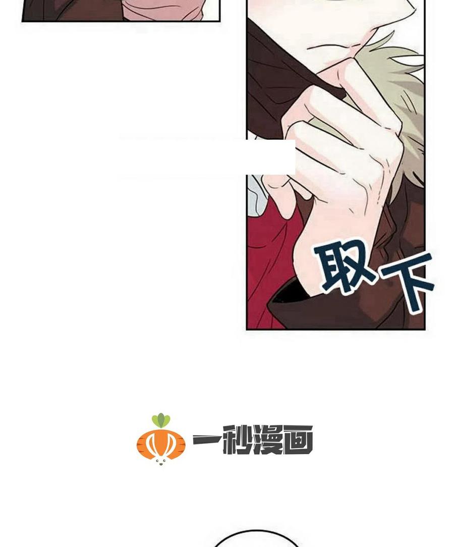 19 我喜欢你37