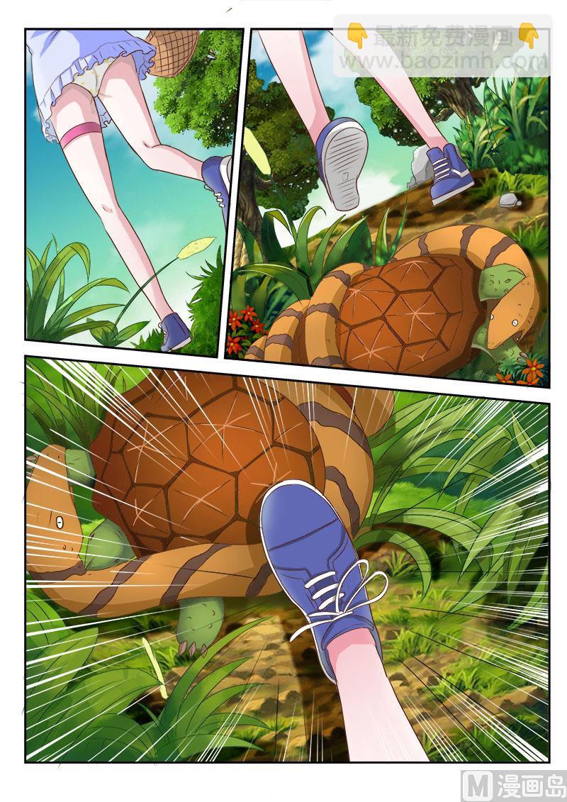 第015话 金钱龟4