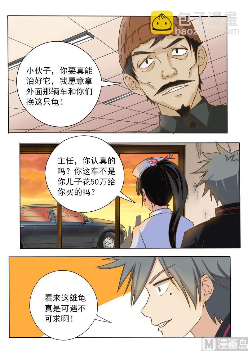 第017话 妙手巧救小乌龟6