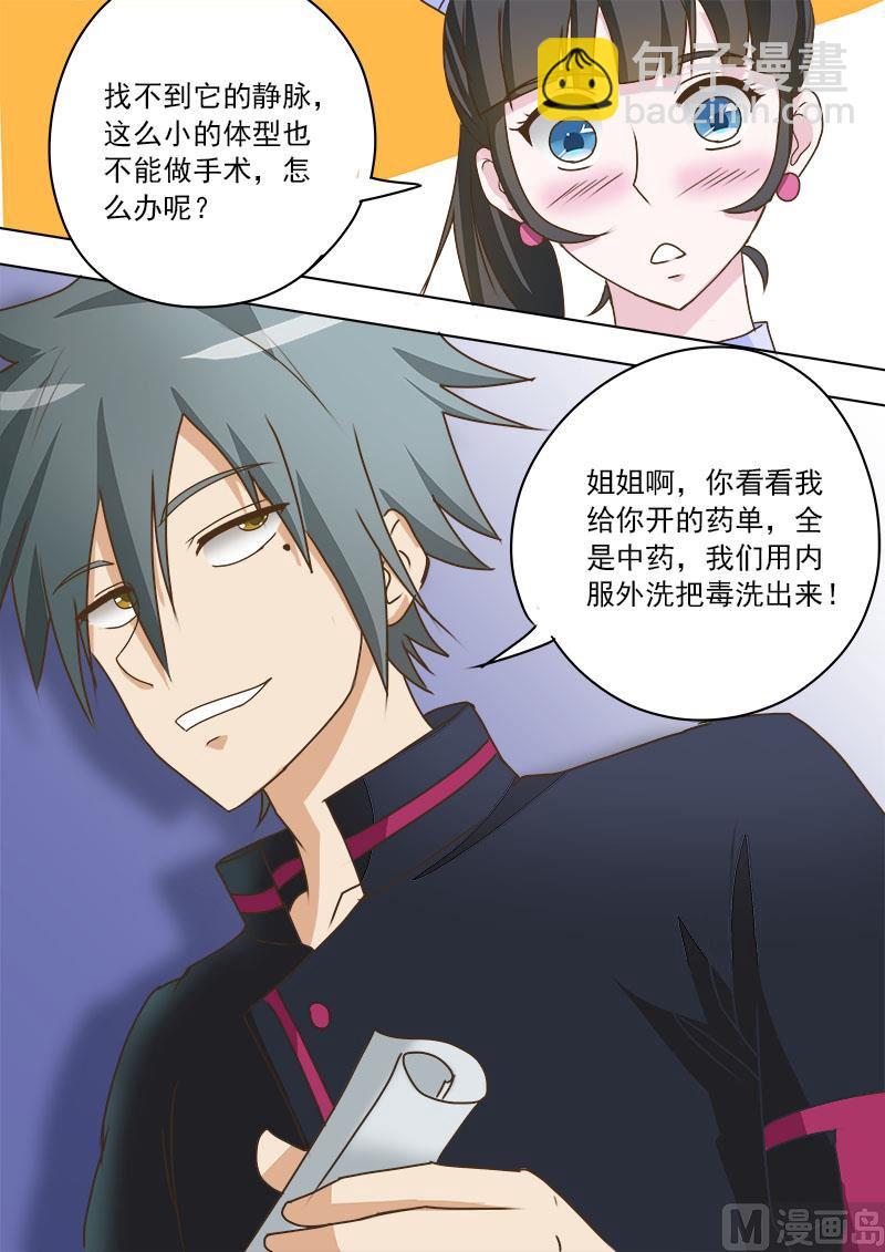第017话 妙手巧救小乌龟8