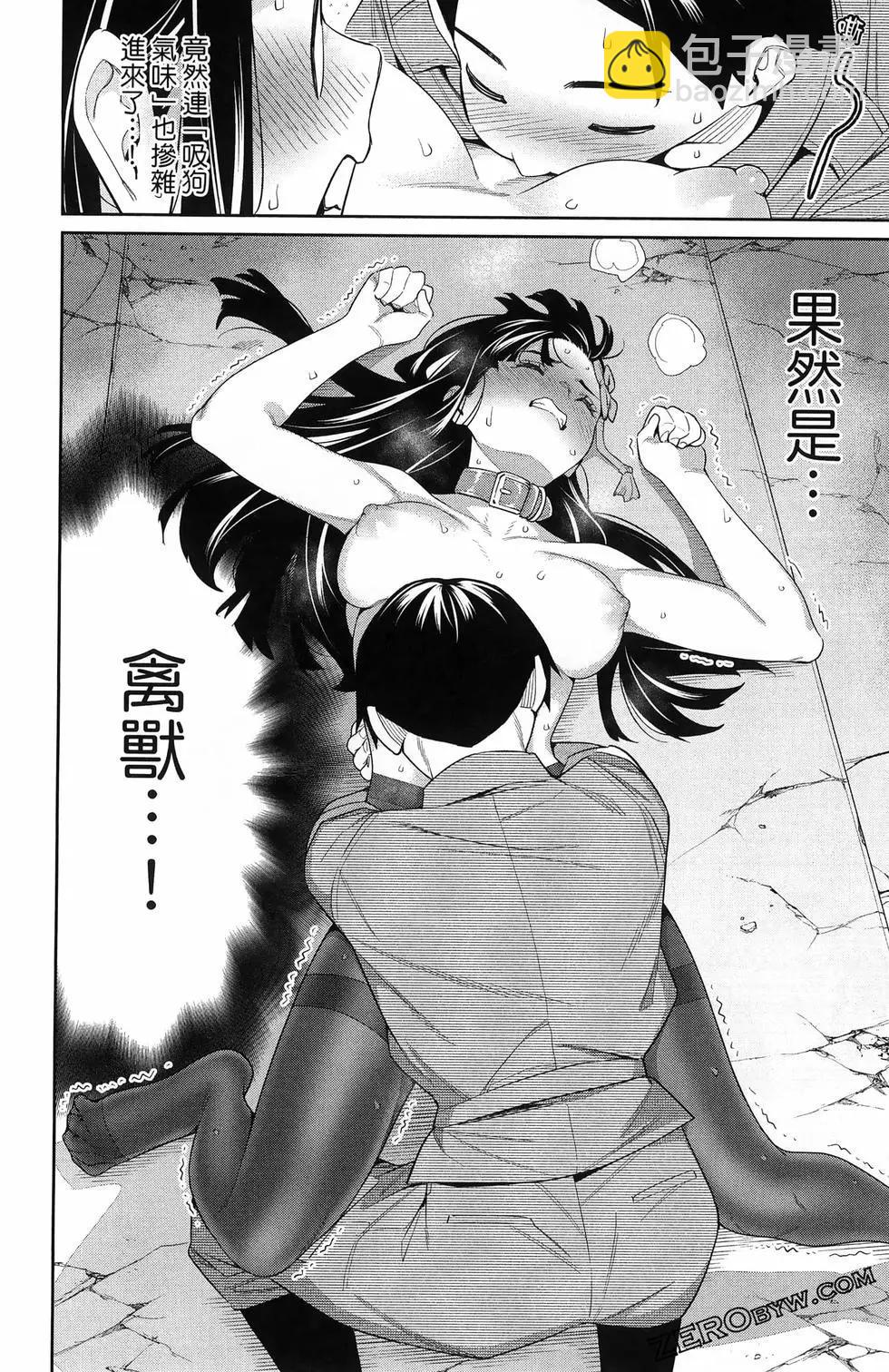 第13卷204