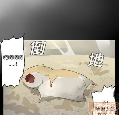 第79话19