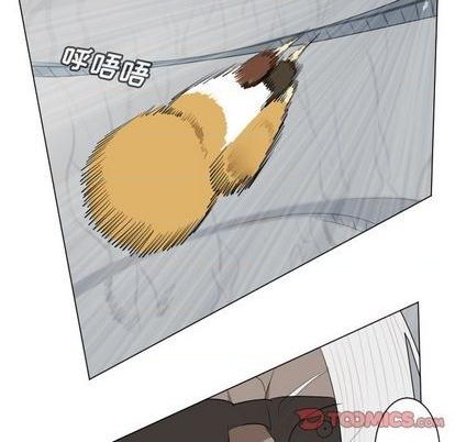 第156话21