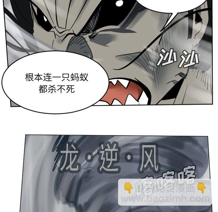 第 172 话29