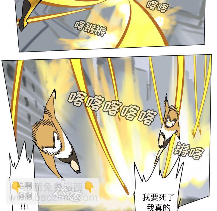 第 182 话46