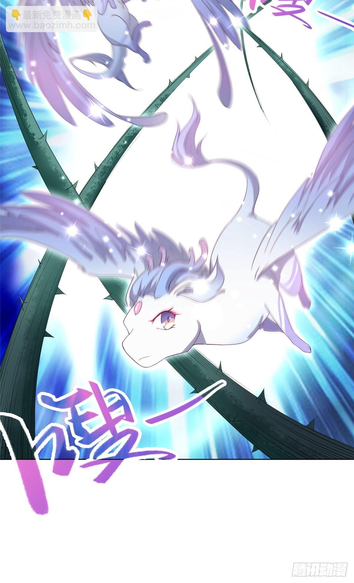 11 激斗！绿林龙VS白岂29