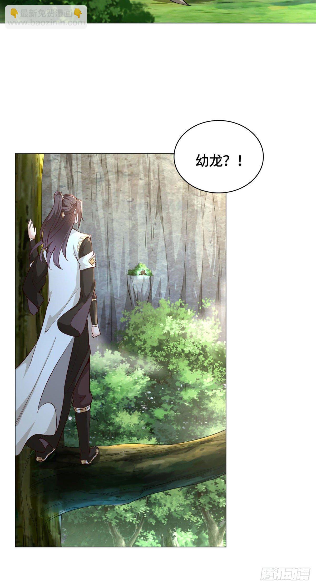 24 森林幼龙30