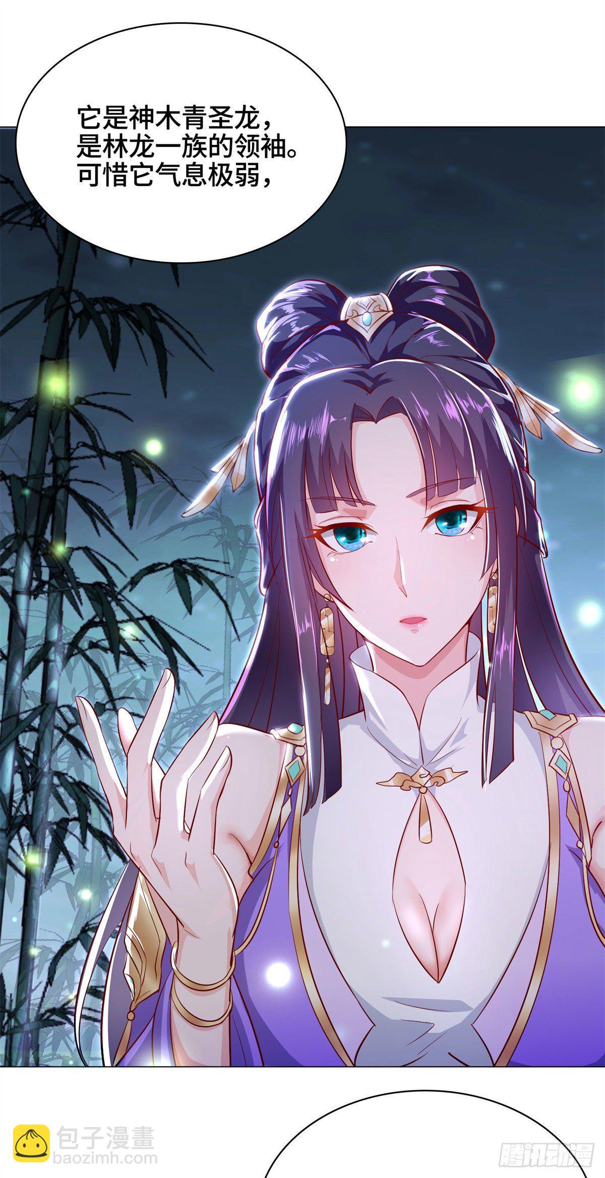 29 竹林夜遇20