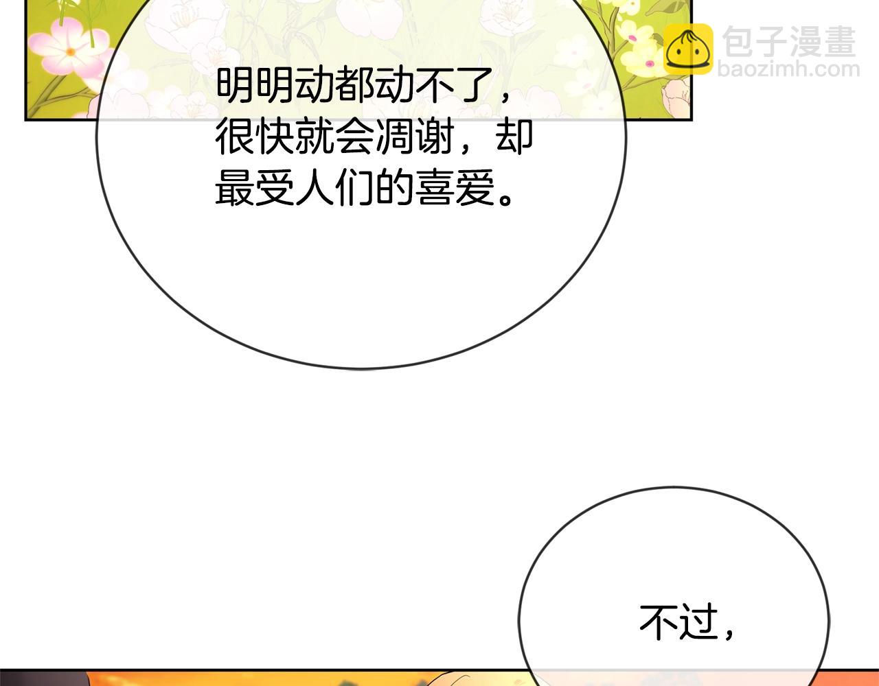 第17话 闪耀129