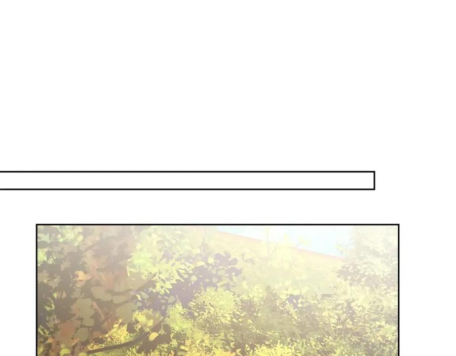 第50话 会发光的花瓣12