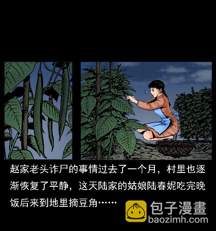 003 赵家的猫1
