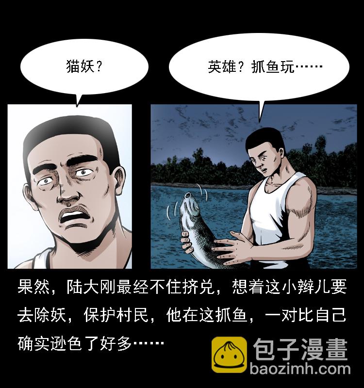 003 赵家的猫11