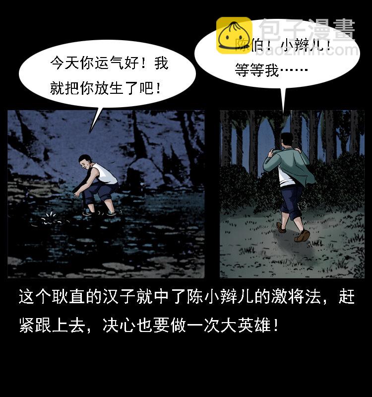003 赵家的猫12
