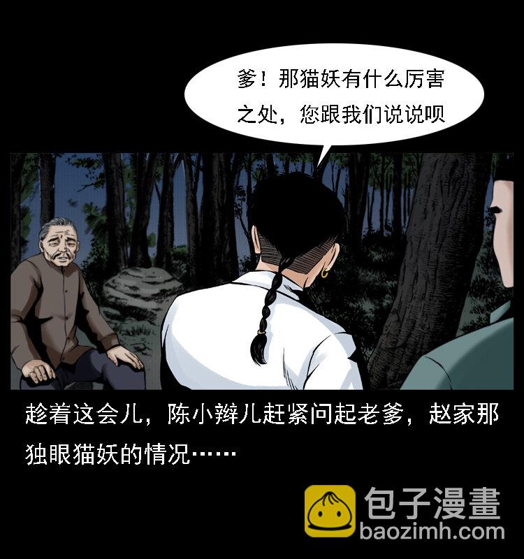 003 赵家的猫16
