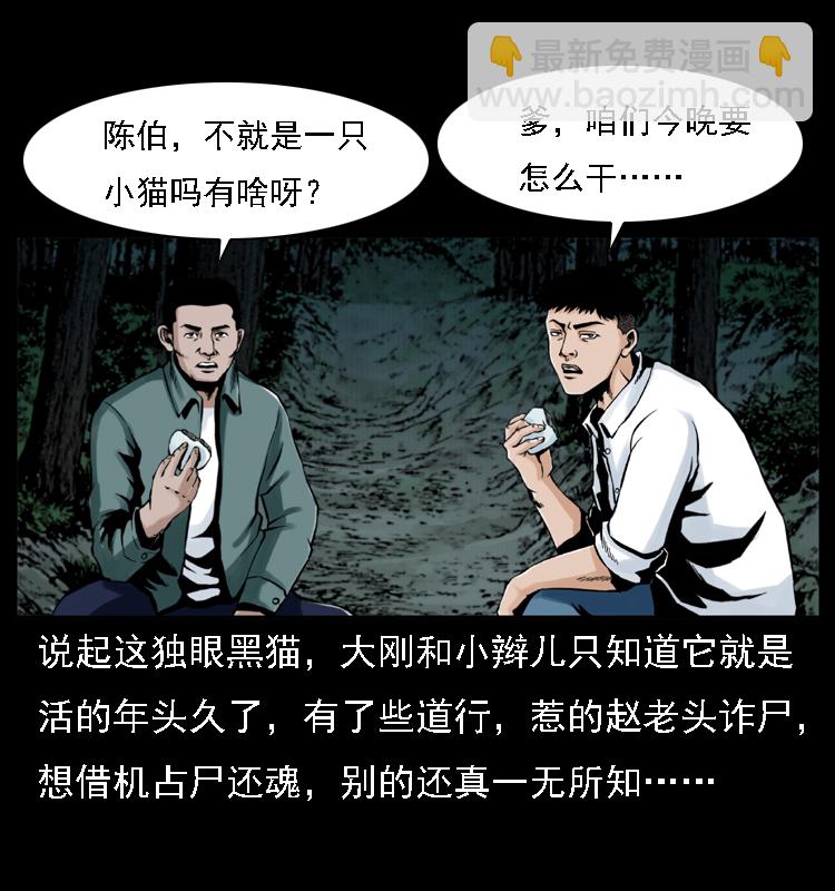 003 赵家的猫17