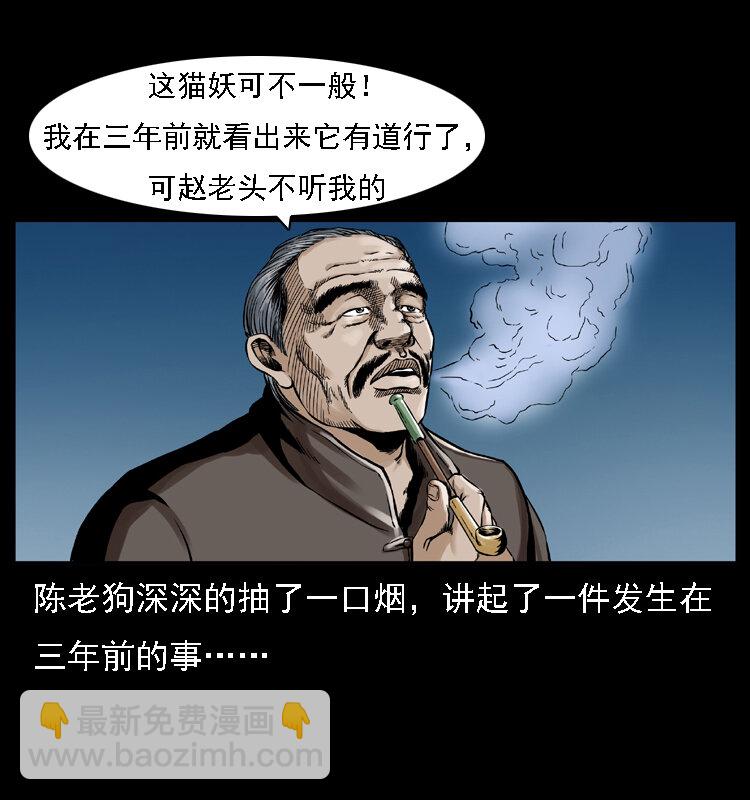 003 赵家的猫19
