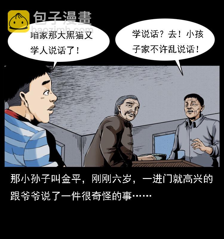 003 赵家的猫28