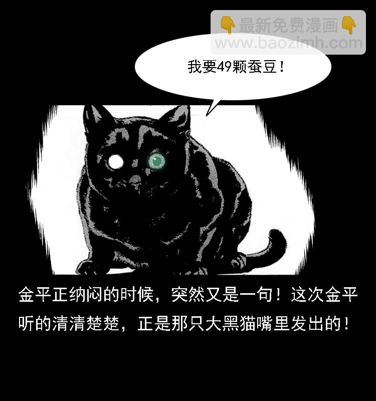 003 赵家的猫36