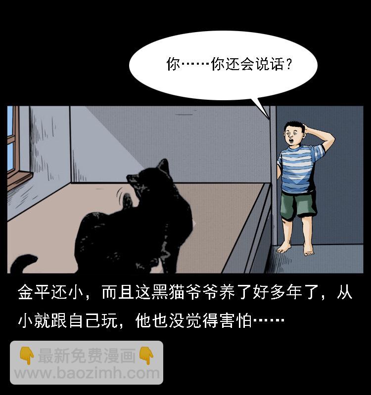003 赵家的猫37