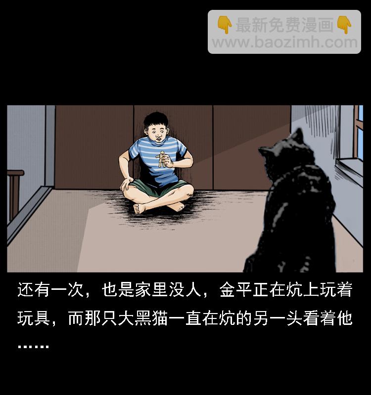 003 赵家的猫40