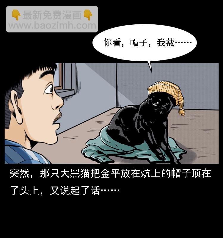 003 赵家的猫41