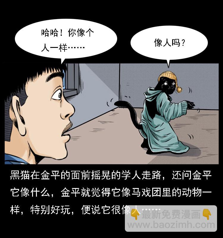 003 赵家的猫43