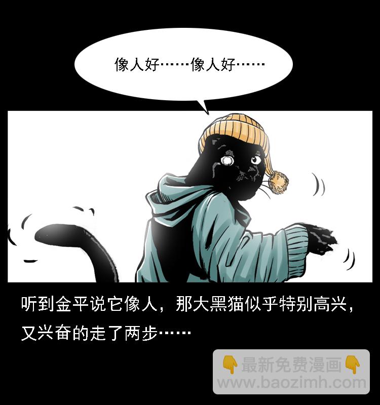 003 赵家的猫44